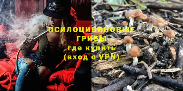 гашик Алексеевка