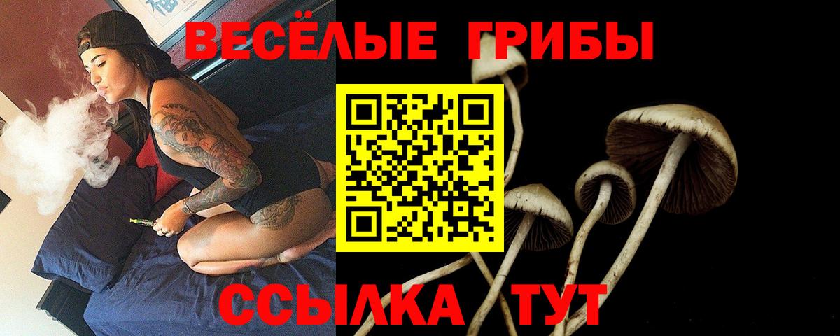Псилоцибиновые грибы ЛСД  Галлюциногенные грибы Psilocybe  Вход с VPN  Тюмень 